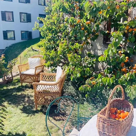 Luxury Family With Extraordinary Mountain Views Chalet Trin