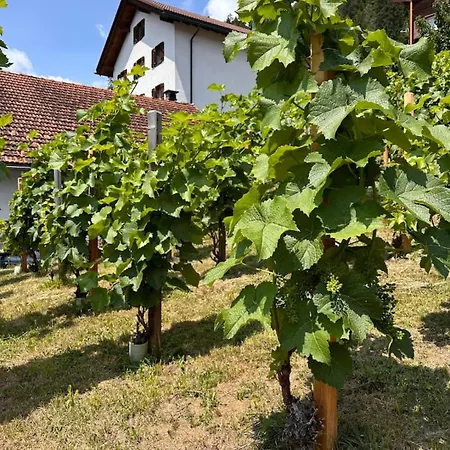 Luxury Family With Extraordinary Mountain Views