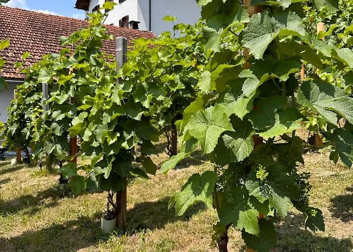 Luxury Family With Extraordinary Mountain Views