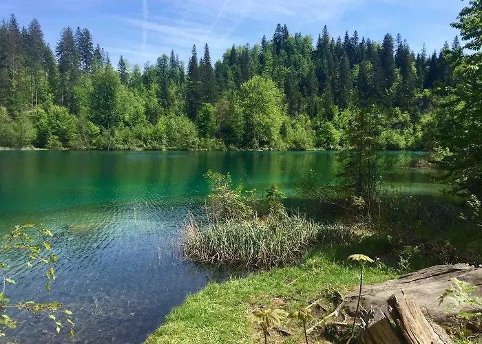 Chalet Luxury Family With Extraordinary Mountain Views *