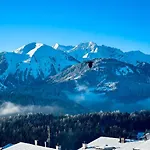 Luxury Family With Extraordinary Mountain Views Alpehytte *